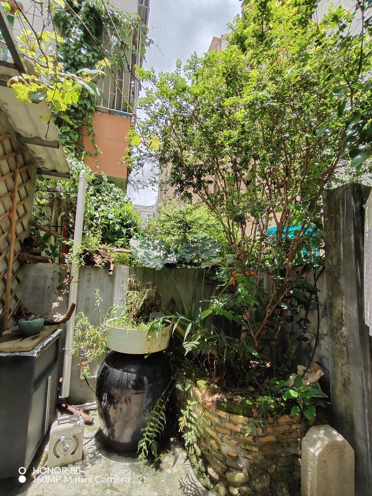 梧桐山艺术小镇整栋复式瓦房出租:独门独院二房二厅,月租3800元 图11