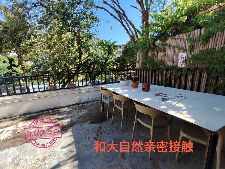梧桐山公園畔200㎡設計師會所出租:庭院+露台+山景,月租13500元 圖10