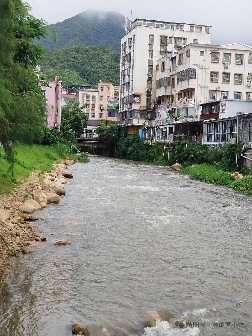 深圳梧桐山小鎮變了嗎:山水未老,人已換了幾撥 圖5