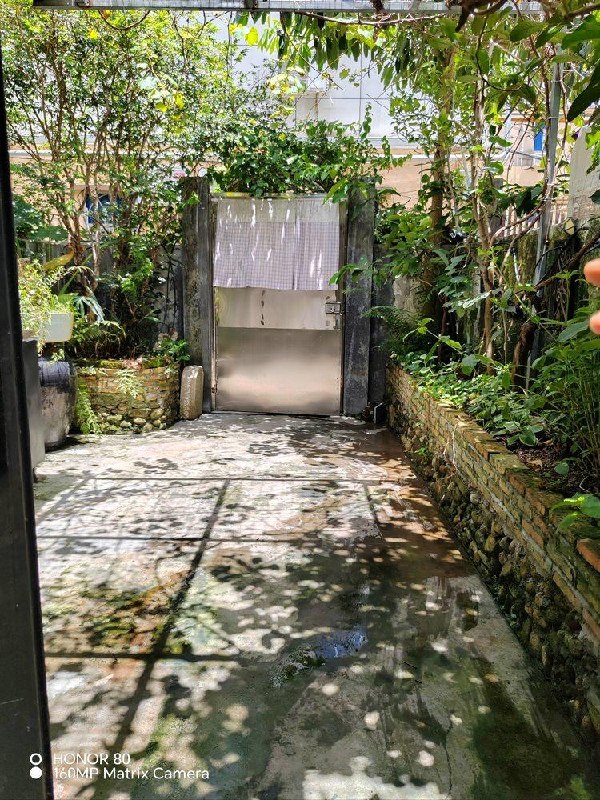 梧桐山艺术小镇整栋复式瓦房出租:独门独院二房二厅,月租3800元 图10