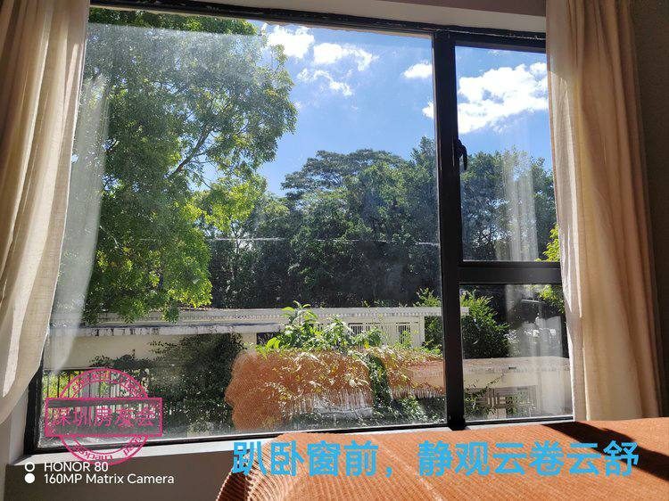 梧桐山公園畔200㎡設計師會所出租:庭院+露台+山景,月租13500元 圖13