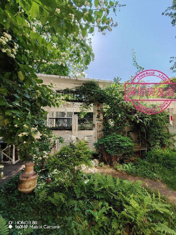 梧桐山公園畔200㎡設計師會所出租:庭院+露台+山景,月租13500元 圖2