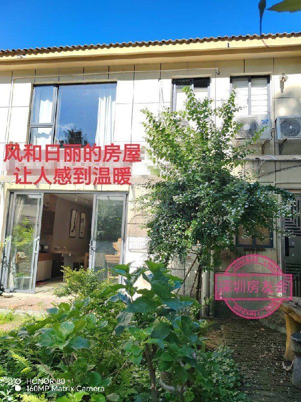 梧桐山公園畔200㎡設計師會所出租:庭院+露台+山景,月租13500元 圖4