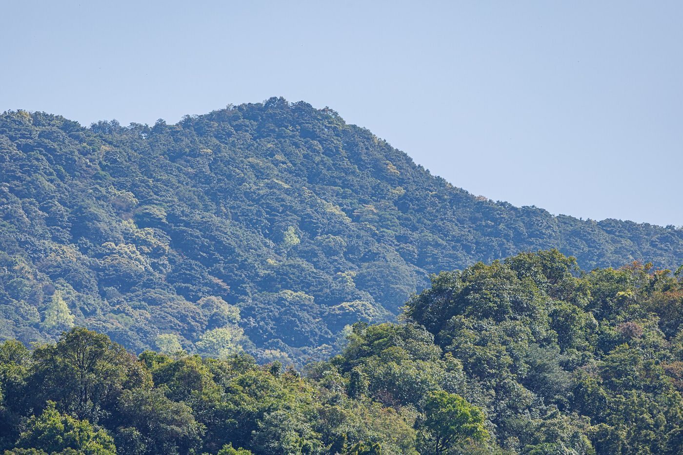 梧桐山雨天替代路線(室內景點)|梧桐山完整指南(路線・資料・實用資訊) 圖1